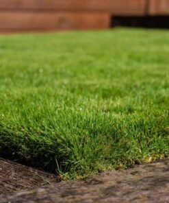 zeon zoysia​ sod with fine blades and lush green coverage, thriving in partial shade and full sun — ideal for premium residential lawns.